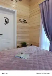 В гостях у Дубровских - 9