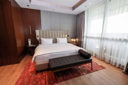 Hilton Regency - 27