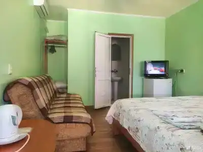 Вега - 9