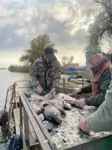 Грэй Гусь - 16