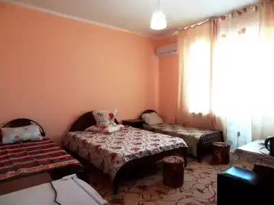 София - 24
