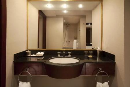 Hyatt Regency - 45