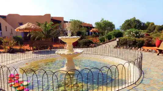 Zorbas Beach Village - 24