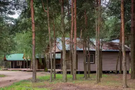Дзик - 5