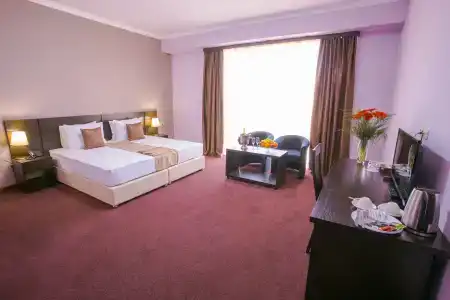 Ani Central Inn - 15