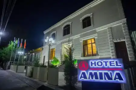 Amina - 1