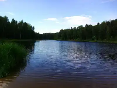 В Залесном рядом с М7 - 25