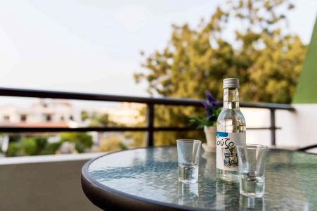 Terinikos Apart-Hotel - 132