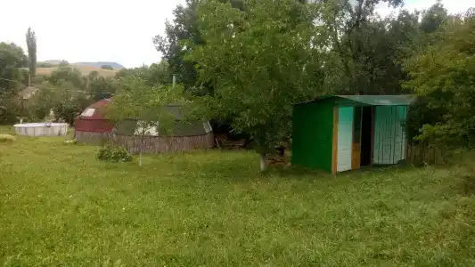 Дикий Крым - 14