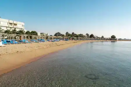 Aqua Mondo - 26