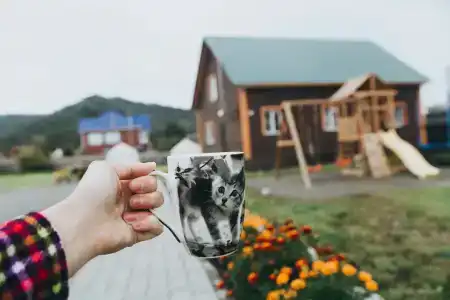 Усадьба Котовских - 1