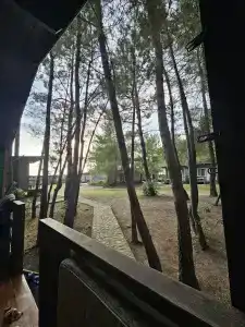 Forest Club - 33