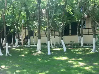 Ирина - 1