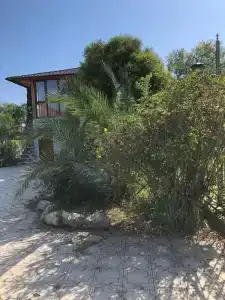 Villa Apsua - 82