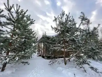 Дом наедине с природой - 2