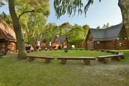 Рой Джой - 4