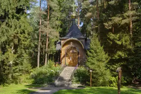 Репино Парк - 28