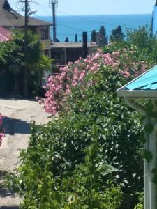 Под пальмой - 11