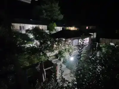 Мандариновый рай - 16