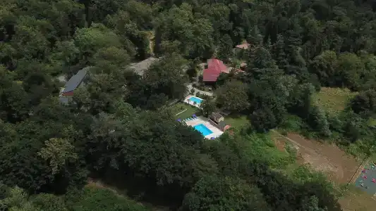 Wald Lagodekhi - 1