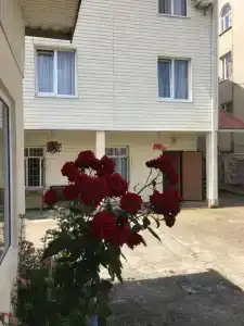 Летний бриз - 2