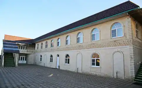 Амазонка - 0