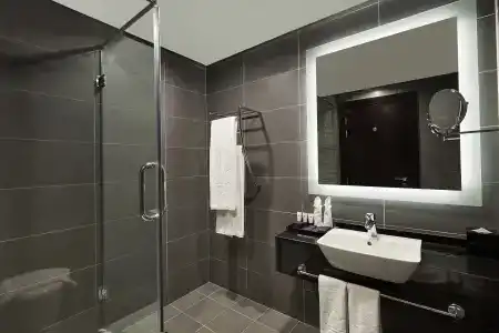 Park Regis Business Bay - 13