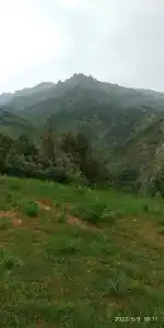 Samira - 5