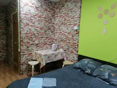 Спутник - 8