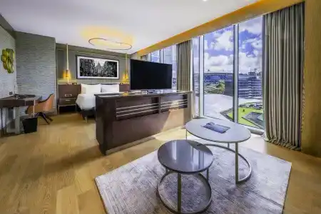 Radisson Blu, Vadistanbul - 10