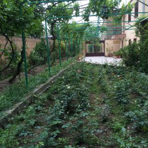 Eco-Resort Lorret - 82
