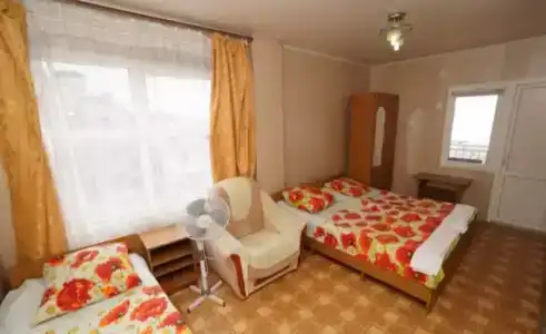 Виолетта - 6