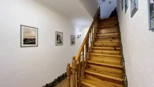 Кермек - 17