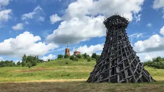 Звездный лес - 14