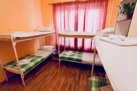 Гости - 5