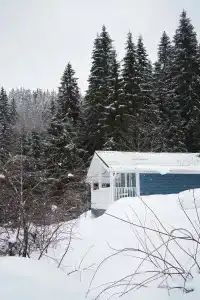Домик у леса с видом на озеро - 2