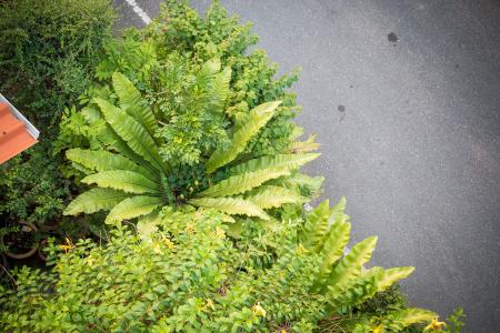 Suchanan Inns and Suites - 24