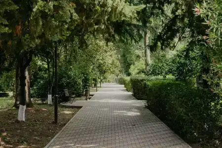 Amza Park (бывш.Энергетик) - 19