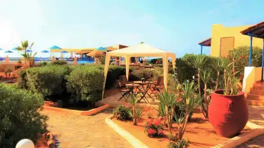 Zorbas Beach Village - 34