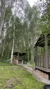 Душа леса - 1