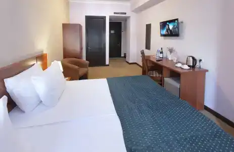 Ani Central Inn - 56