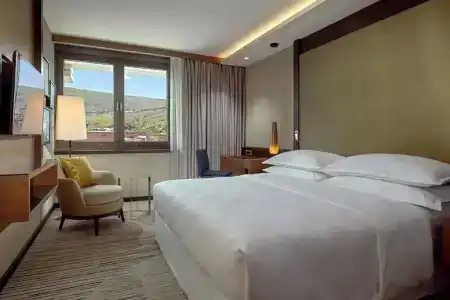Sheraton Grand Tbilisi Metechi Palace - 5