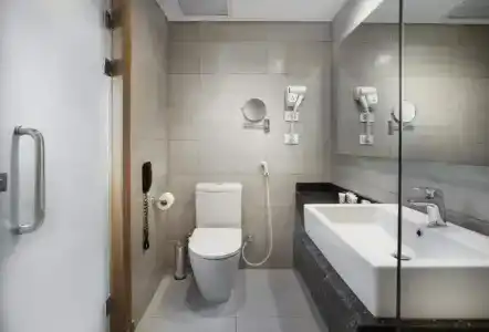Pyramisa Suites Cairo - 61