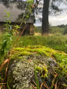 Ладога рядом - 34