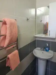 Гранат - 40