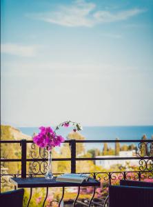 Mare Garden - 11