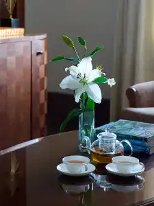 Rixos Borovoe - 39
