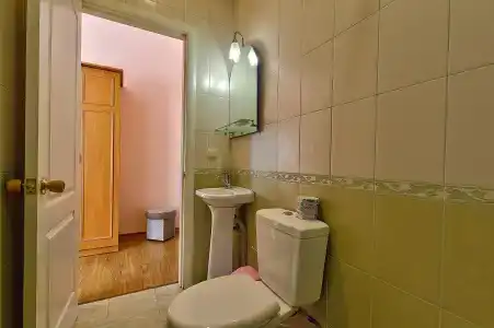 Дельфин - 55