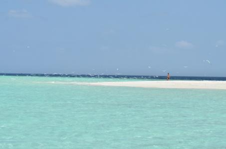Beach Residence - 18