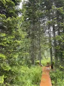 Гэтсби лаундж - 3